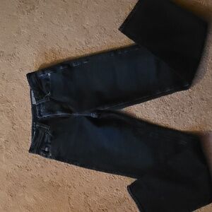 Adriano Goldschmied Jeans Womens 24 Denim Saige High Rise Straight Zip Fly